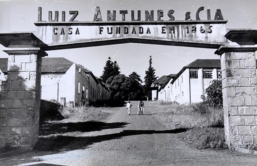 Antiga  Vinícola Luiz Antunes 