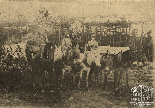 Carreteiros