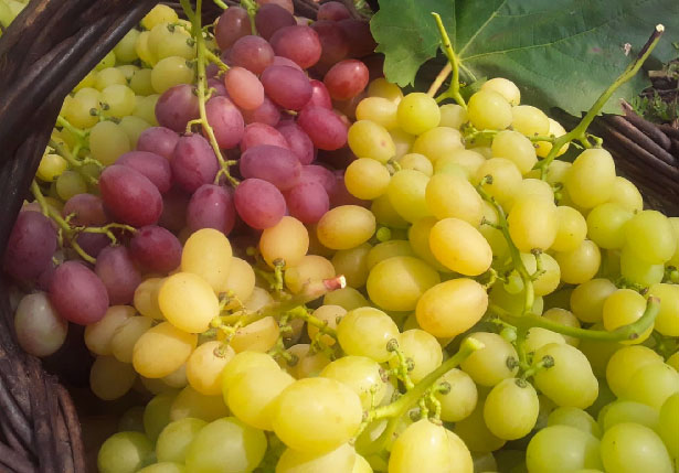 Comerlato Uvas Finas de Mesa