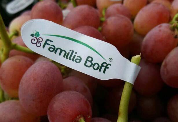 Família Boff Uvas de Mesa