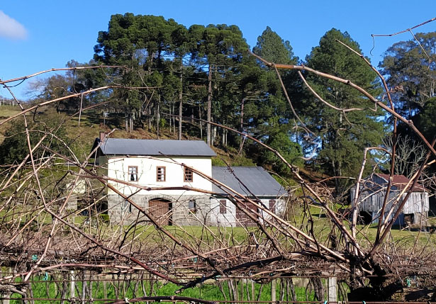 Família Longo Vinhos Finos