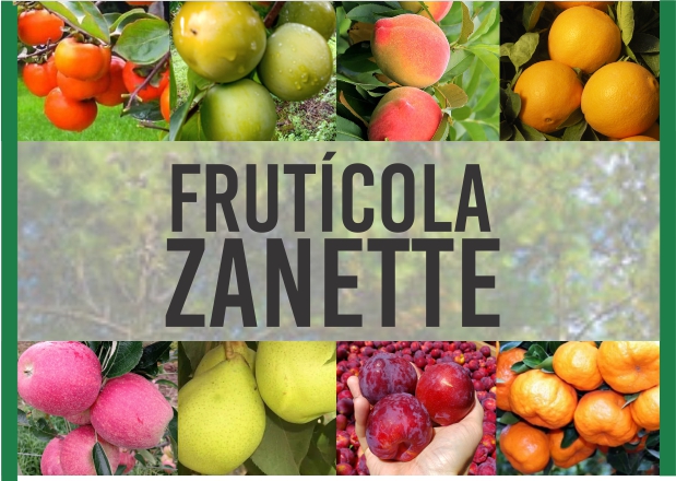 Frutícola Zanette 