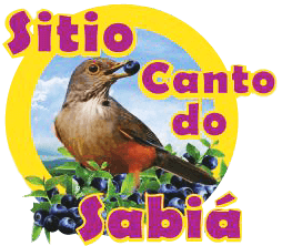 Mirtilo  Canto do Sabiá