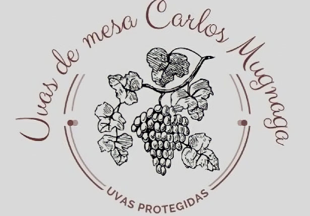Uvas de Mesa Carlos Mugnaga