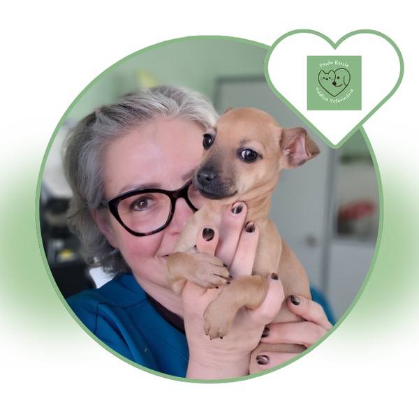 Paula Bossle - Médica Veterinária