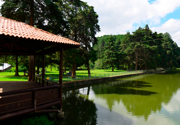 Parque Jardim Botânico