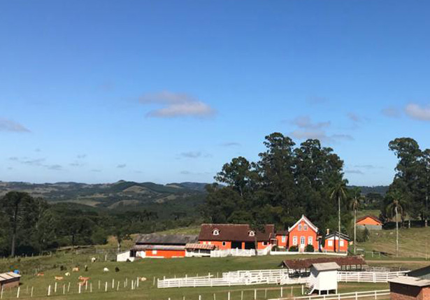 Fazenda Bertussi