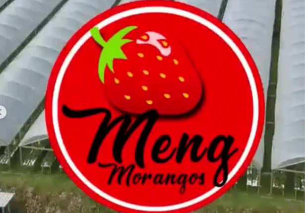 Meng Morangos
